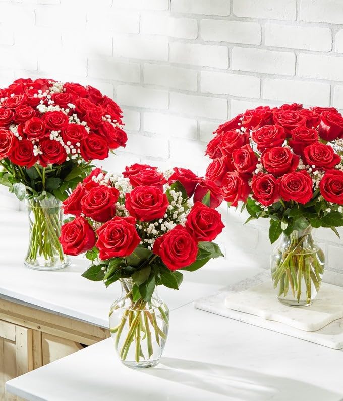 From You Flowers - One Dozen Red Roses with Chocolates with Glass Vase | Fresh Flower Bouquets for Birthday, Anniversary, Get Well or Celebration