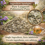 Pulmonaria Herbal Tea – 4 oz (113g) – 100% Natural Lungwort Herb – Wildcrafted Mexican Origin – Vegan, Non-GMO, Gluten-Free – Loose Leaf Herbal Infusion – Te by BexpertsUSA