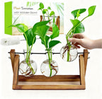 Renmxj Plant Propagation Stations with Wooden Stand & 3 Glass Bulb Vases - Plant Terrarium for Indoor Plants, Home Office Desk Decor, Gardening Gifts for Women Mom, Birthday Gifts for Plants Lovers