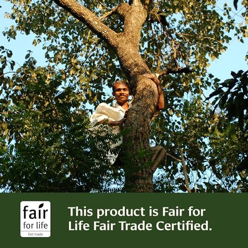 Banyan Botanicals Haritaki Powder – Organic Terminalia Chebula – Ayurvedic Digestion Supplement that Supports Gentle Cleansing* – ½ lb. – Non-GMO Sustainably Sourced Certified Fair for Life Fair Trade