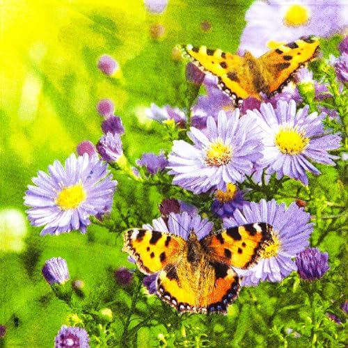 20 Napkins Flowers Butterflies on Asters as Table Decoration Paper Napkins with Motif Also for Decoupage and Decoupage 33 x 33 cm