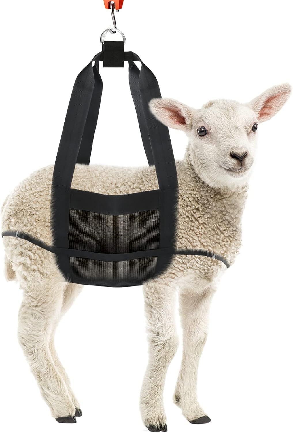 Calf Sling for Weighing Animals - Calf Scale Hanging Weight Scale Sling with Adjustable Straps for Weighing Calves Lambs Goats Baby Alpacas Newborn Livestock Dogs