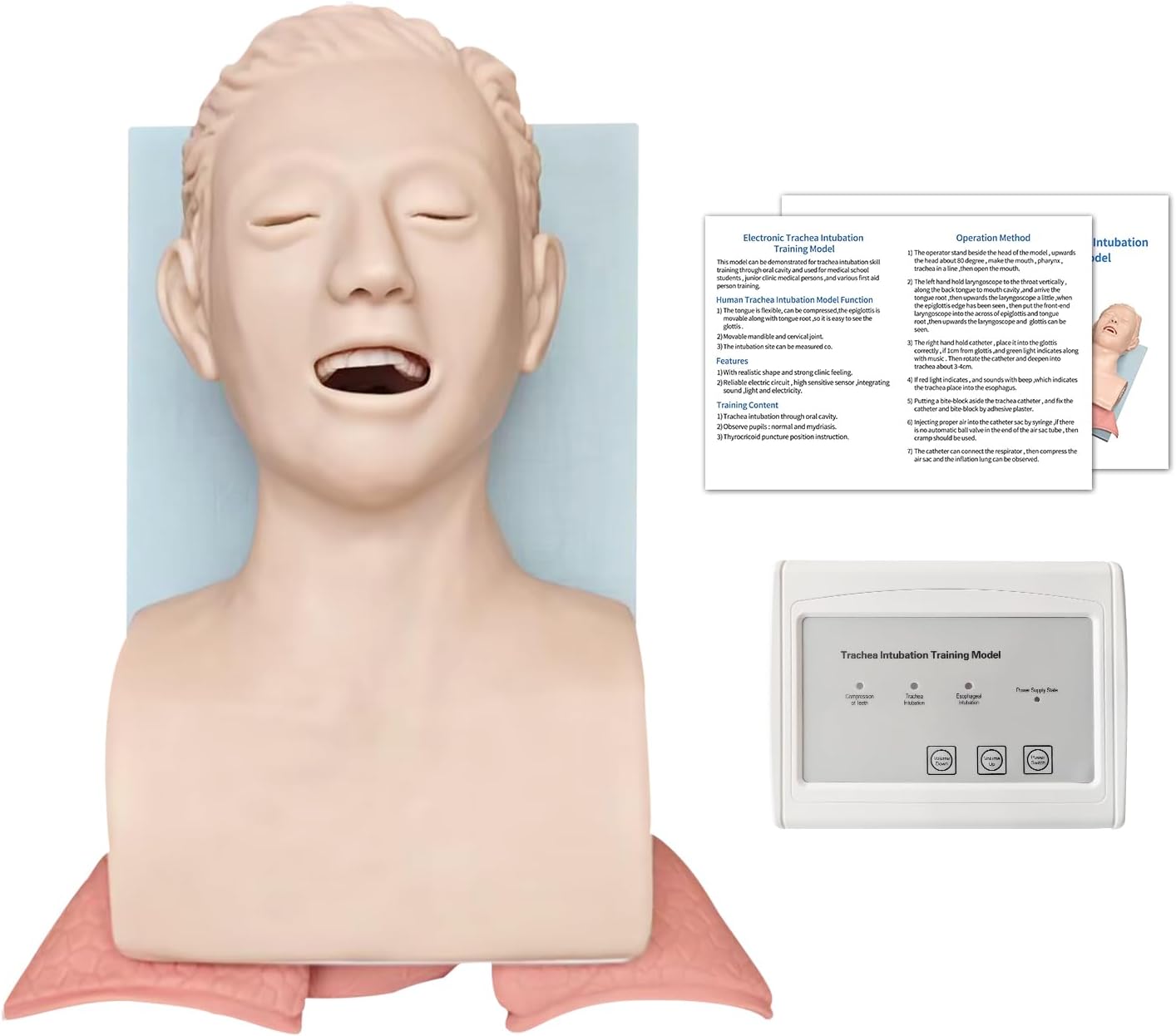 PVC Endotracheal Intubation Human Model - Tracheal Intubation Manikin Simulator Teaching aid Kit with endotracheal Tube, Oral/Nasal Intubation Human Model for Science Education/Practice/Study