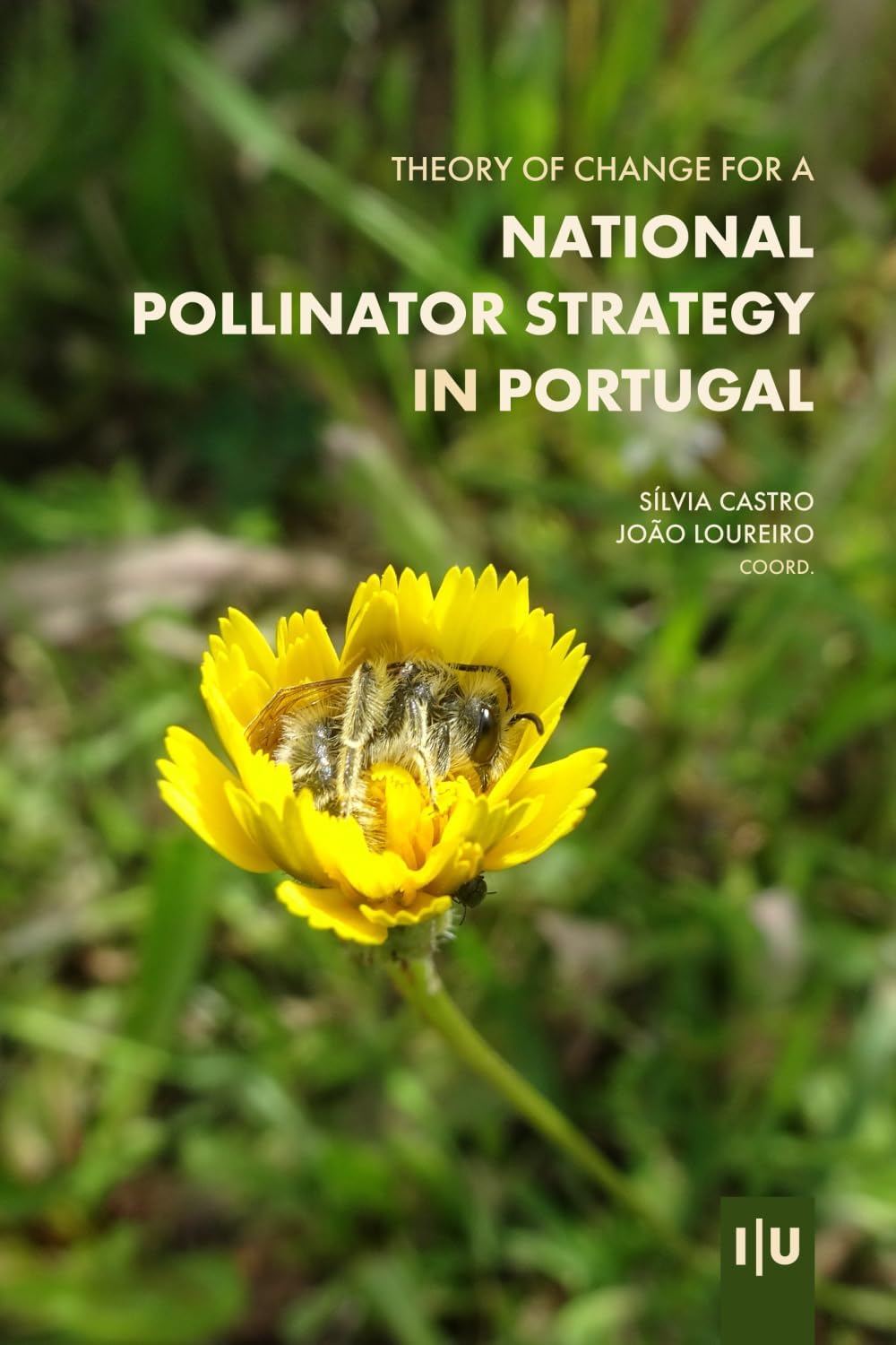 Theory of Change for a National Pollinator Strategy in Portugal (Natura Naturata)