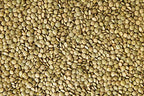 Hunza Organic Green Lentils (2 lbs)
