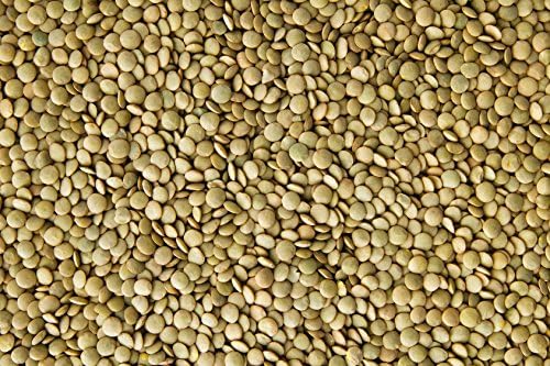 Hunza Organic Green Lentils (2 lbs)