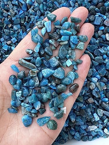 GAF TREASURES 2 oz Lot Natural Apatite Semi Tumbled Gemstone Chips, Crushed Mini Crystals, Undrilled Crystal Chips (Apatite)
