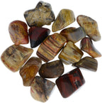 1 lb Tumbled Petrified Wood Stones from Madagascar - 0.75" to 1.50" Avg Rocks for Crafts, Art, Crystal Healing, Wicca, Reiki and More!
