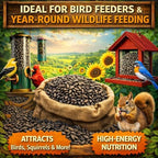 Office Roast Premium Black Sunflower Seeds – | 2 LB Bulk Value Pack | Natural Wild Bird Seed for Backyard Feeders, High-Energy Food for Songbirds