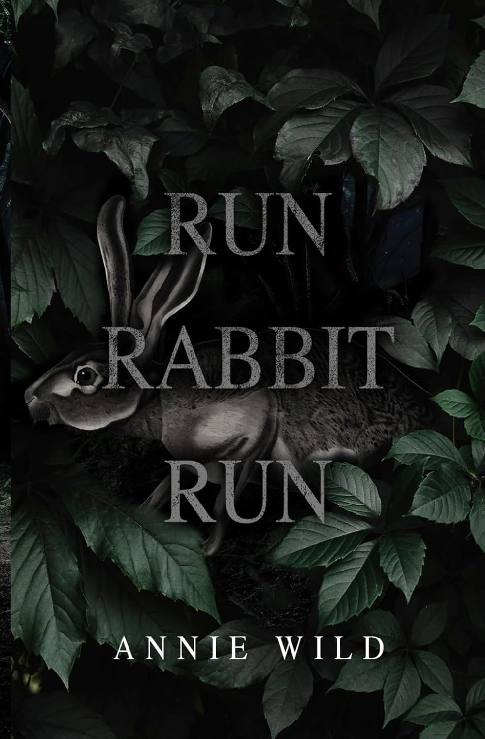 Run Rabbit Run: A Dark Stalker Romance (Blood and Burrows Dark Romance Duet) by Annie Wild