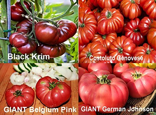 This is A Mix 30 Deluxe Tomato Seeds, Mix of 16 Varieties, Heirloom Non GMO, Indeterminate, Old German, Chocolate Stripes, Ukrainian Purple, Amish Paste, from USA Solanum lycopersicum
