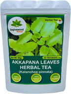 Organic Kalanchoe pinnata Leaves Tea, miracle leaf air plants Bryophyllum Pinnatum Herbal Tea, 40 Tea Bags/ 1.5g