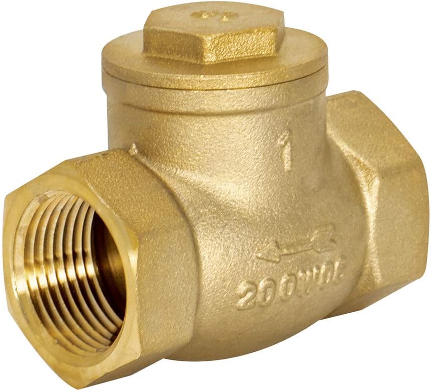 Eastman Brass Swing Check Valve, 1 Inch IPS, Brass Plumbing Fitting, 20425LF