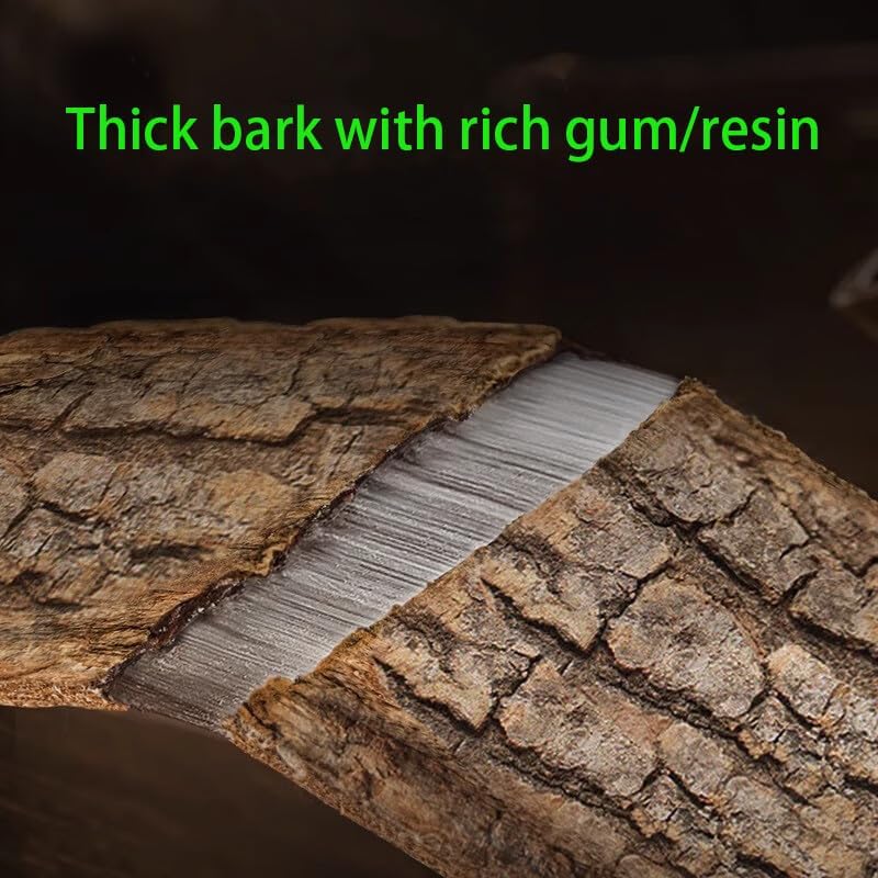 Eucommia Bark-Pure Natural Chinese Herbal Medicine-Du Zhong 4.23 oz/120g-杜仲(Eucommia Bark)