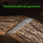 Eucommia Bark-Pure Natural Chinese Herbal Medicine-Du Zhong 4.23 oz/120g-杜仲(Eucommia Bark)