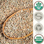 Be Still Farms Organic Rye Berries Bulk (5.8 lb) - Whole Rye Grain Seeds - Kernels Great for Flour, Bread, Cereal - High in Fiber & Protein | USA Grown | USDA Certified | Vegan | Non-GMO