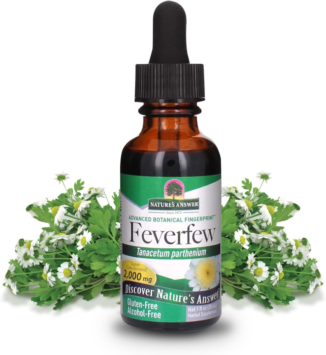 Nature's Answer Alcohol-Free Feverfew 2000mg 1oz Extract | Promotes Overall Well-Being | Source of Parthenolide | No Artificial Flavors or Preservatives | Single Count