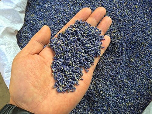 TooGet Fragrant Lavender Buds Dried Flowers Wholesale, Ultra Blue Grade - 225g