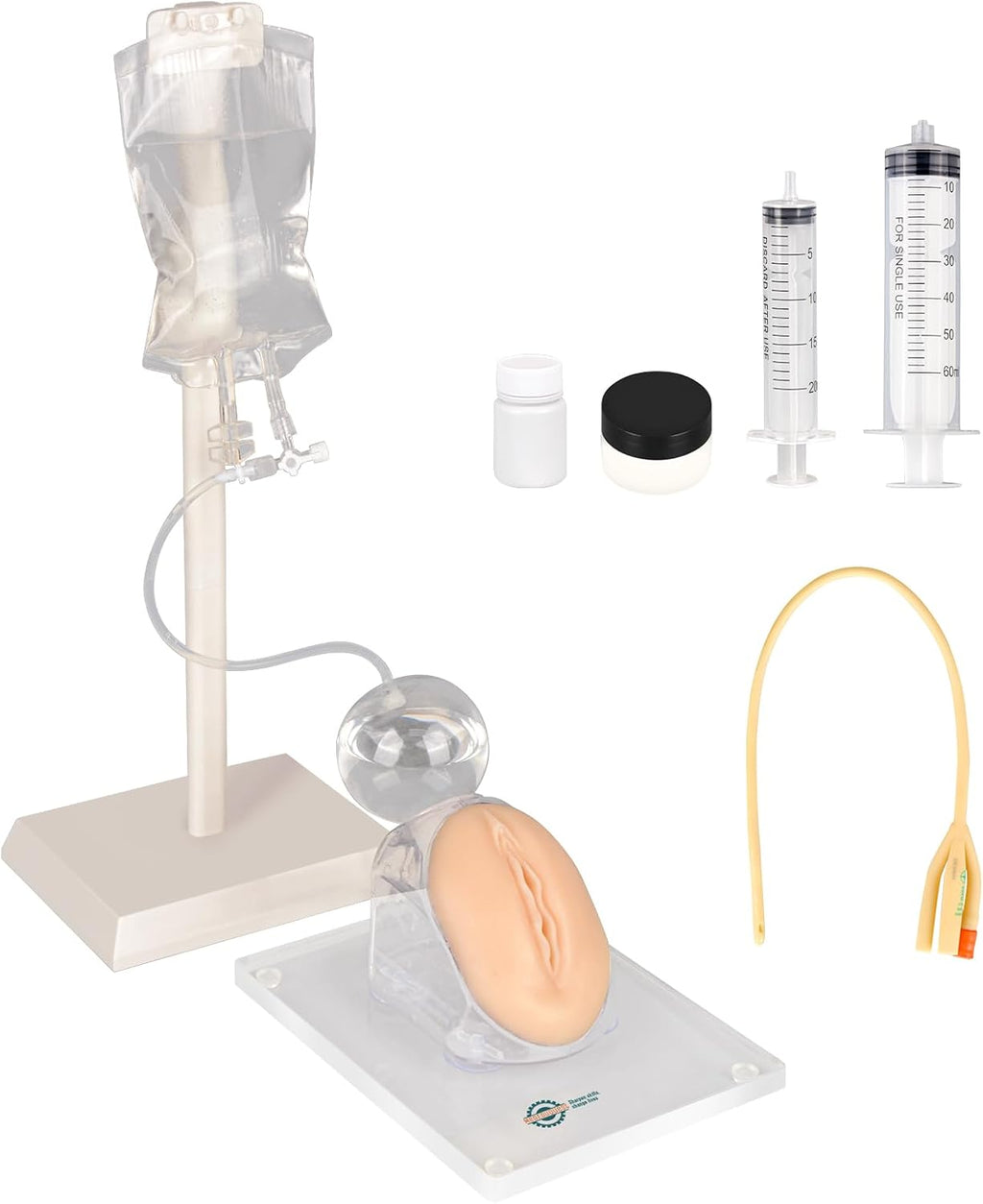 Female Urinary Catheterization Trainer, Urethral Catheterization Insertion Simulator, Urinary Catheter Anatomy Model for Nursing Skills Practice