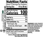 Piña Reàl Infused Exotics, Pineapple Puree Infused Syrup, 16.9 FL OZ Squeezable Bottle (Pack of 3)