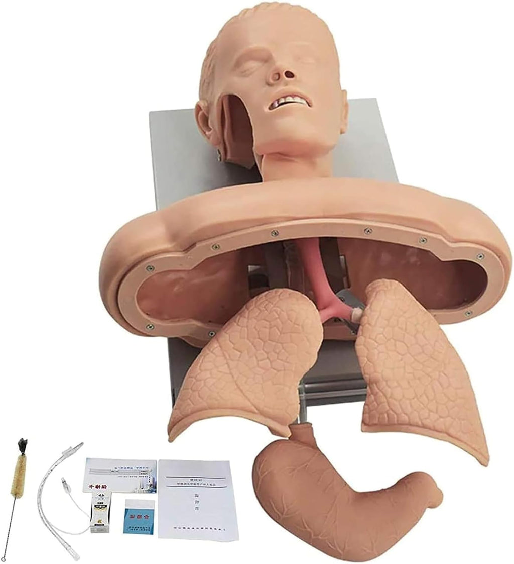 Advanced Oral Nasal Intubation Manikin, Intubation Manikin Airway Clearing Device Management Trainer with Tooth Alarm Device Simulator Airway Management Trainer Intubation Head Teaching (A)