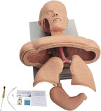 Advanced Oral Nasal Intubation Manikin, Intubation Manikin Airway Clearing Device Management Trainer with Tooth Alarm Device Simulator Airway Management Trainer Intubation Head Teaching (A)