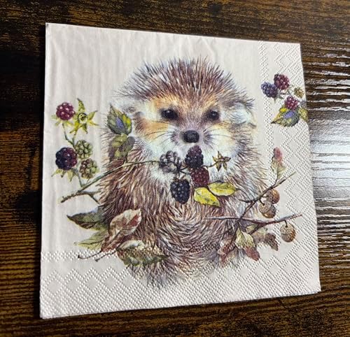 IHR Ideal Home Range Cocktail Napkins Disposable 3-Ply Paper Party Napkin Pack, 5" x 5", Forest Hedgehog, 20-Count
