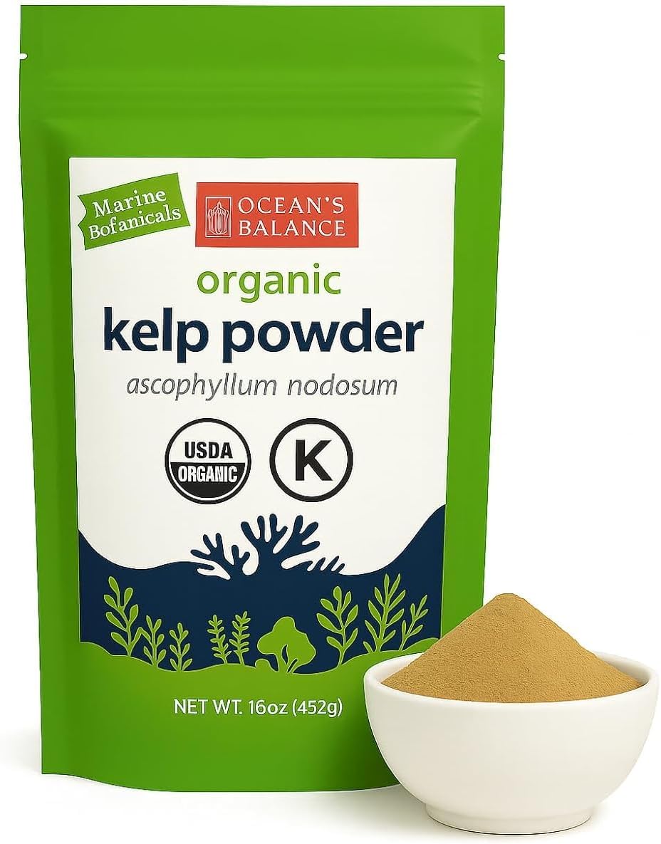 Ocean’s Balance Clean – Wildcrafted Kelp Powder (Ascophyllum nodosum) from the Gulf of Maine | Rich in Iodine & 70+ Minerals | Supports Metabolism, Skin, & Immunity | 16 oz