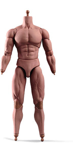 1:6 Scale Male Action Figure 12 Inch Flexible Muscle Male Figure Body Doll Miniature Figure Without Head Sculpt
