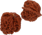 GLEAVI 4pcs Walnut Hand Massage Balls for Fitness and Relaxation Natural Hand Massagers for Muscle Relaxation and Improved Blood Flow for Home and Gym Use