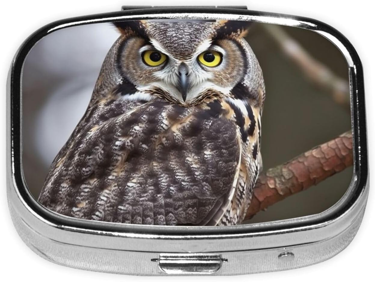 Square Round Pill Case Eastern owl Pill Box Daily 2 Compartment Travel Pill Container for Pocket Purse Portable Medicine Cod Liver Oil Storage Box 2 Times a Day Pill Organizer