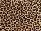 Whimsical Practicality Dark Natural Leopard Print Edible Icing image Cake Topper 1/4 sheet 7.5 * 10.5 inchs