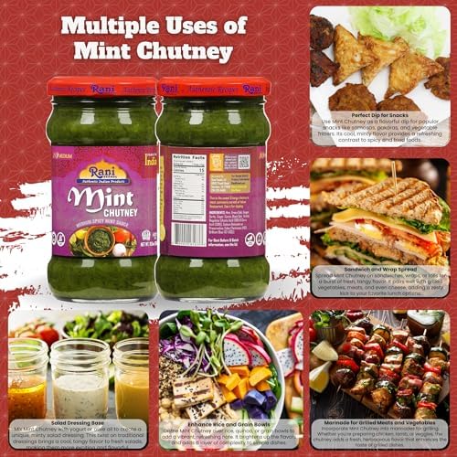 Rani Mint Chutney (Podina) 10.5oz (300g) Glass Jar, Ready to Eat ~ Vegan | Gluten Free | NON-GMO | Kosher | No Colors | Indian Origin