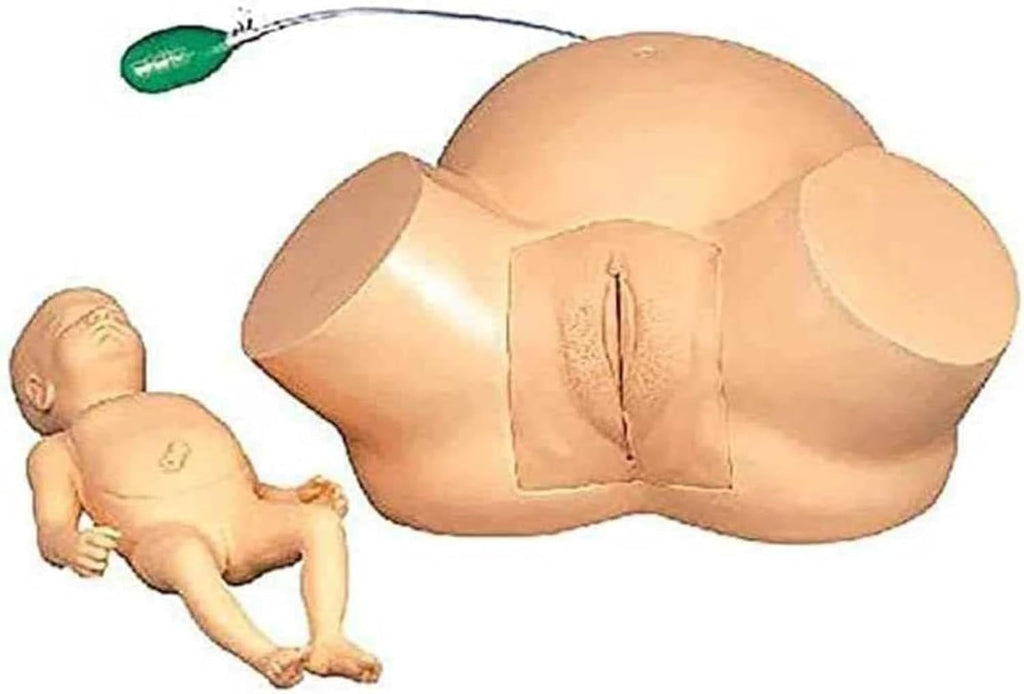 Birth Simulator Demonstration Female Childbirth Manikin Advanced Midwifery Training Model Obstetrics and Gynecology Delivery Maternity Simulator for Nursing Medical Teaching Education