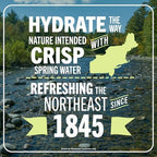 Poland Spring Maine Spring Water Bottles, 24 Pack – Crisp, Still Bottled Water with Naturally Balanced Occurring Minerals & Electrolytes for Taste - 16.9 Fl Oz