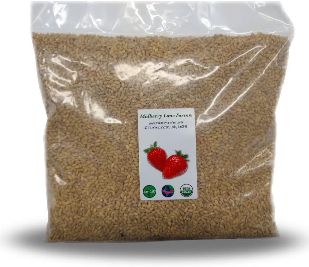 Pearled Barley 5 Pounds Pearl, USDA Certified Organic, Non-GMO Bulk, Product of USA, Mulberry Lane Farms