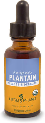 Herb Pharm Certified Organic Plantain Liquid Extract for Cleansing and Detoxification - 1 Ounce (DPLAN01)