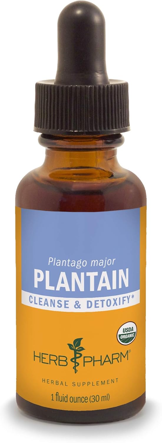 Herb Pharm Certified Organic Plantain Liquid Extract for Cleansing and Detoxification - 1 Ounce (DPLAN01)