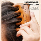 Wooden Scalp Massager Handmade Natural Green Sandalwood Wide Tooth Combs Wood Massage Comb for Head and Face Gua Sha Brush Hair Care Set