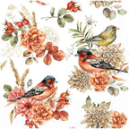 IHR Ideal Home Range Party Napkins Disposable 3-Ply Paper Lunch Napkin Pack, 6.5" x 6.5", Bird Song, 20-Count