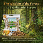 Cáscara Sagrada Loose Tea – 4 oz (113g) Wildcrafted Bark – Rhamnus purshiana | 100% Natural Herbal Tea – Non-GMO, Gluten-Free, Vegan – by Bexpertsusa