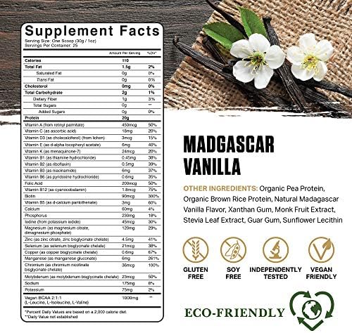 Ambrosia Planta - Plant-Based Protein Powder 20g | Dairy Free Vegan Protein Powder with BCAA Amino Acids | Keto-Friendly, No Added Sugar | 25 Servings | Vanilla