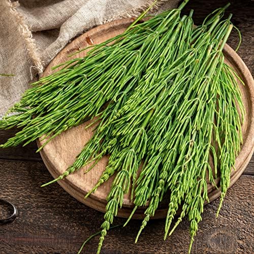 Frontier Co-op Organic Cut & Sifted Horsetail Herb 1lb