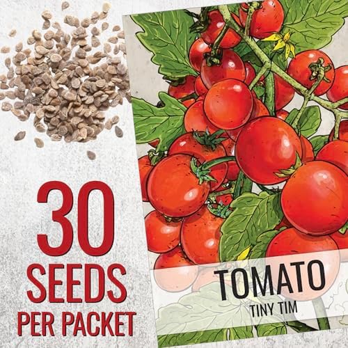 Seed Needs Tiny Tim Tomato Seeds for Planting Dwarf Cherry Tomatoes - Non-GMO Heirloom & Untreated Veggie Seed to Plant a Home Grown Outdoor Vegetable Garden (1 Pack)