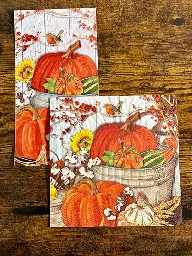 IHR Ideal Home Range Party Napkins Disposable 3-Ply Paper Lunch Napkin Pack, 6.5" x 6.5", It's Pumpkin Time, 20-Count