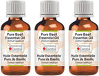 Greenwood Essential Pure Basil Essential Oil (Ocimum basilicum) Steam Distilled (Pack of Three) 100ml X 3 (10 oz)