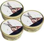 Simpkins - Meg Hawkins - Hare Tin with Mixed Fruit Drops - Travel Sweets 175g - Pack of 3 in Premier Life Store Box