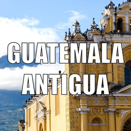 Guatemala Coffee, Antigua, Whole Bean, Medium Roast, USDA Organic, Fresh Roasted, Kosher, 16-ounces