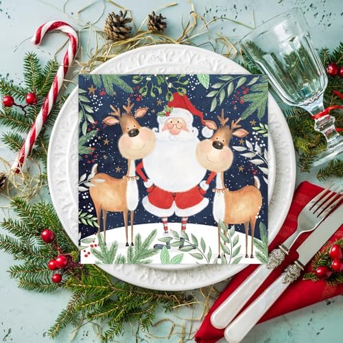 Anniversary House Tiflair Luxury Christmas Napkins, Santa & Funny Reindeer Design, Thick and Strong Paper Lunch Napkins 3 ply, Multi-Coloured PJ303550