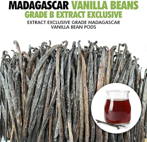 55 Organic Madagascar Vanilla Extract Exclusive Grade B Beans| 4" - 5" by FITNCLEAN VANILLA| Certified USDA Organic. Bulk Dry Whole Bourbon NON-GMO Pods
